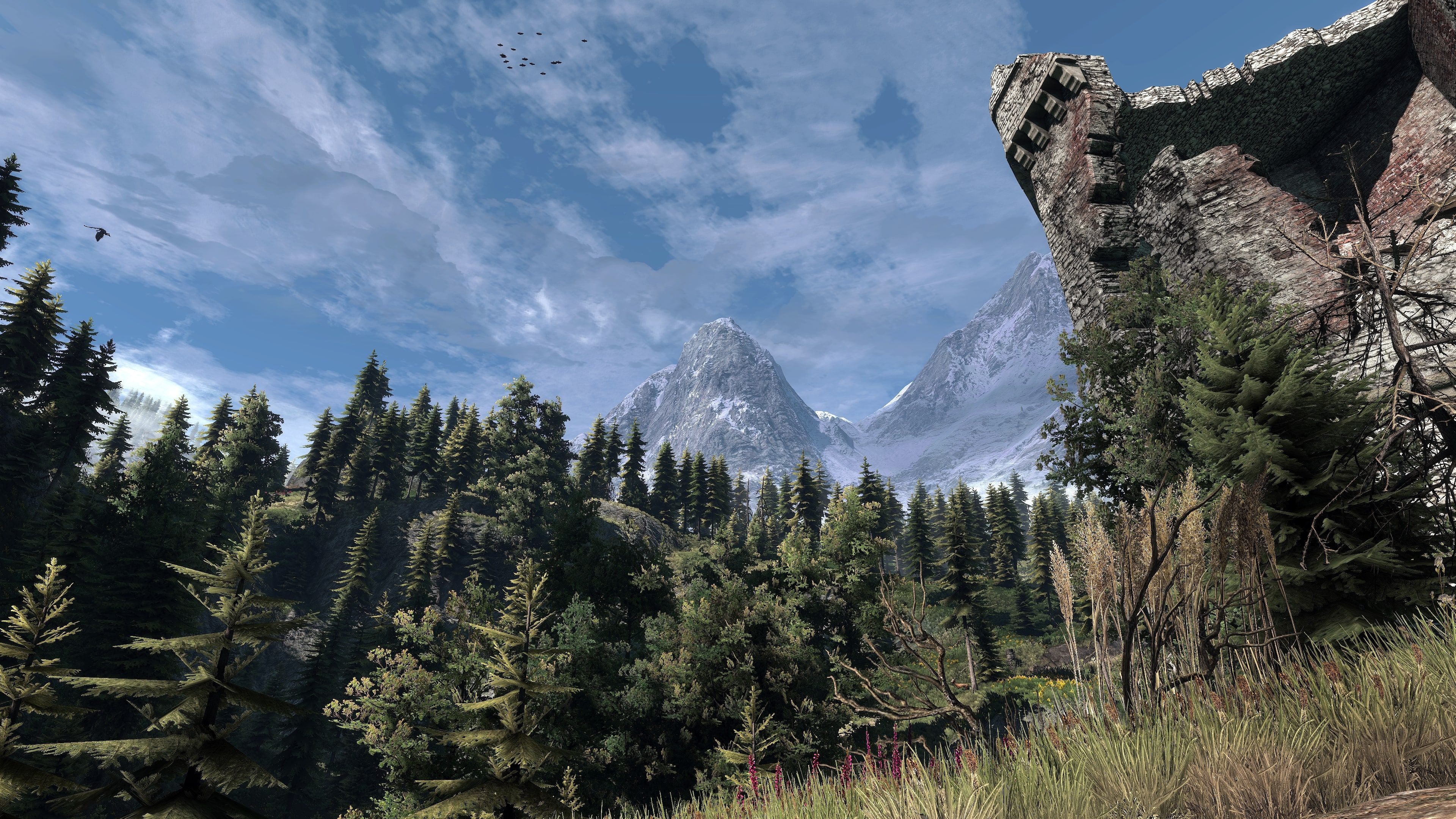 The Witcher 3 Super-Resolution 2020.04.16 - 17.56.45.40-min.jpg