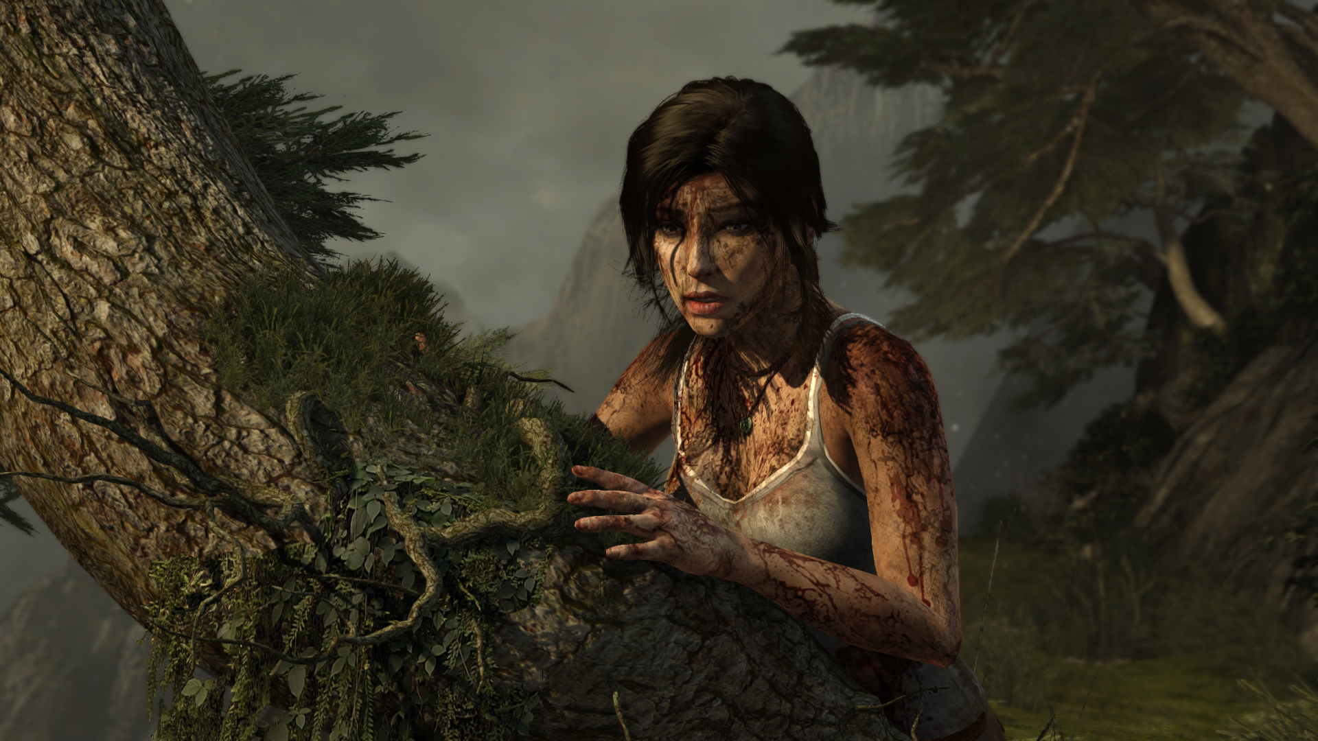 Tomb Raider (2013) Screenshot 2022.01.09 - 02.41.43.92.png