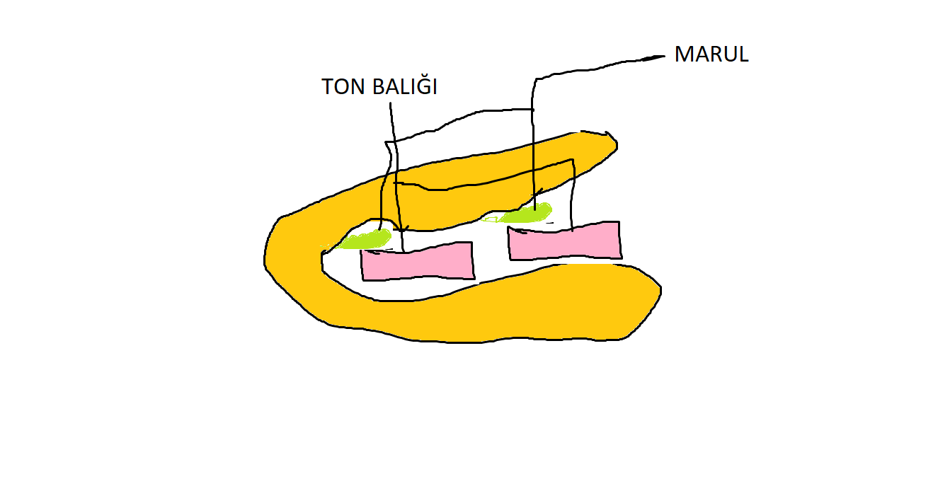 ton-baligi-sandivic-png.1436684