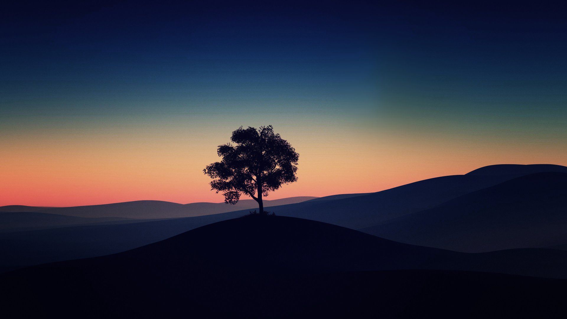 tree-alone-dark-evening-4k.jpg