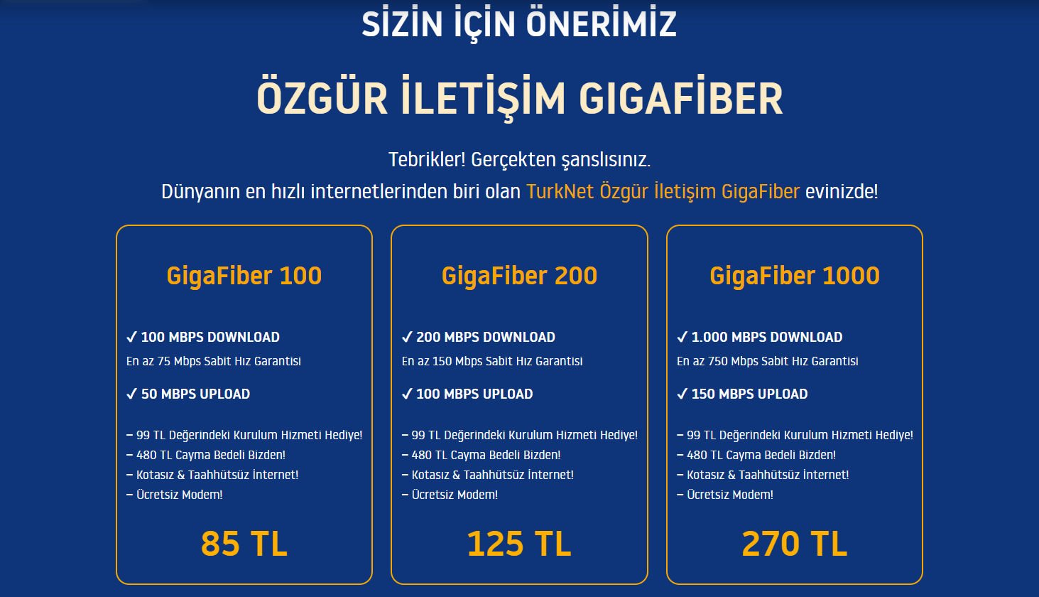 TürkNet Gigafiber.png