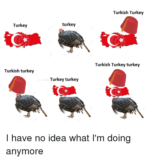 turkey-turkish-turkey-turkey-turkey-turkey-turkish-turkey-turkish-turkey-6966864.png