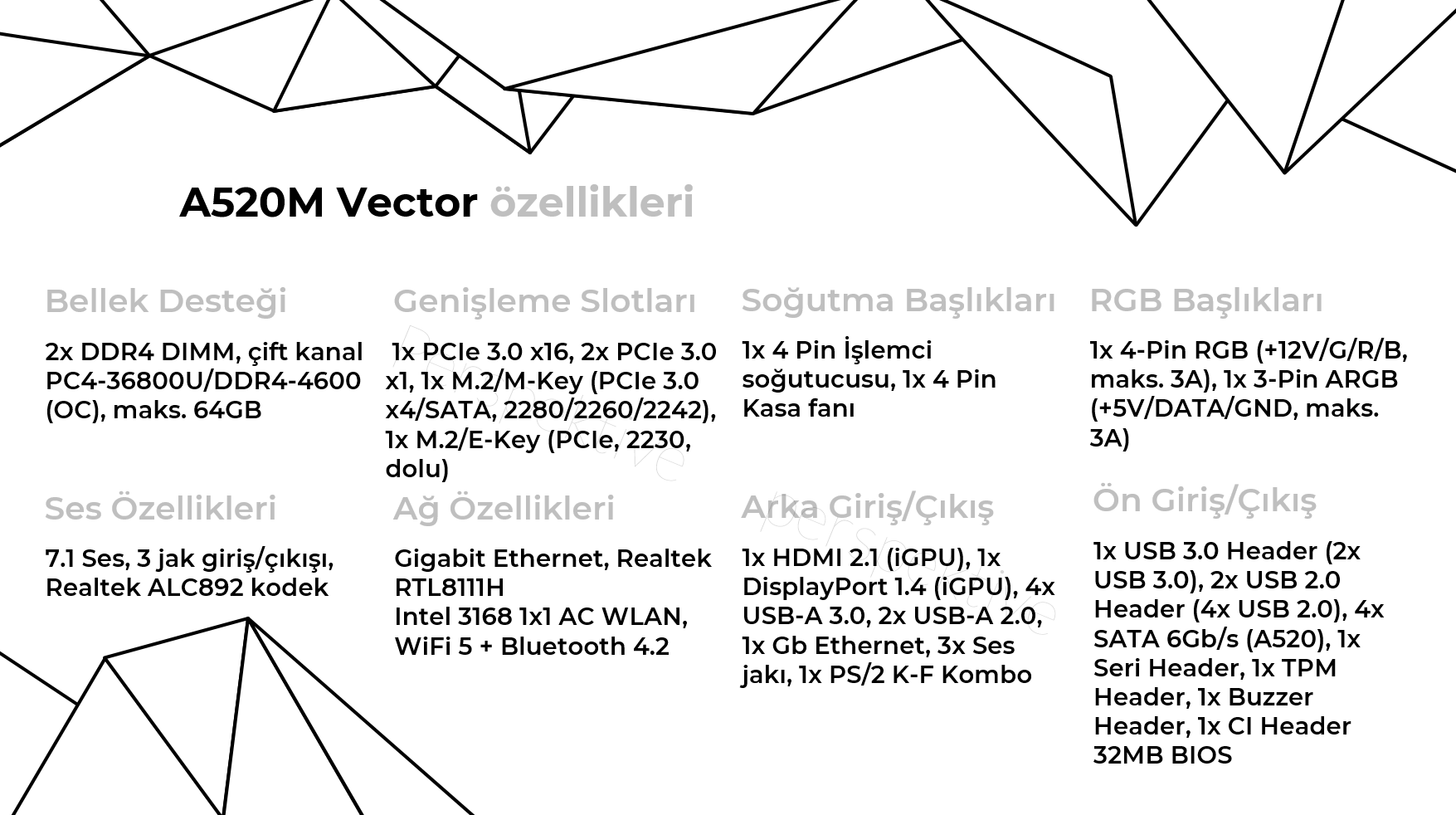 vector2.png