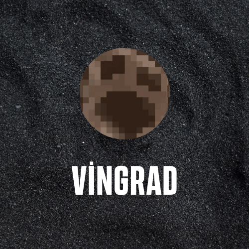 VinGRAD(6).png