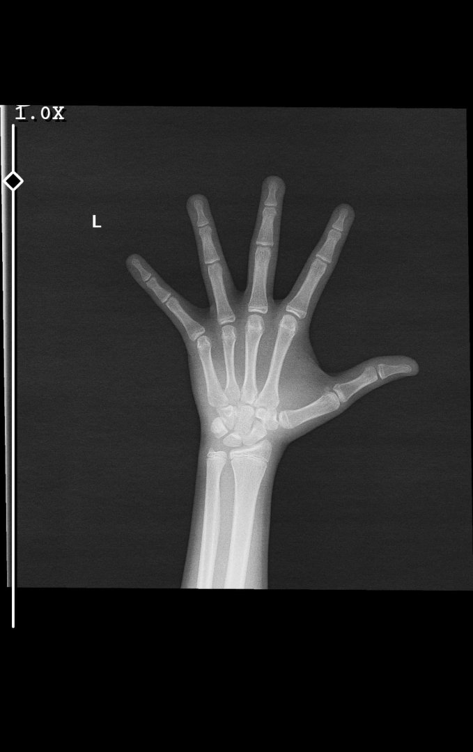 WhatsApp Görsel 2024-05-06 saat 22.05.06_3b9d5290.jpg