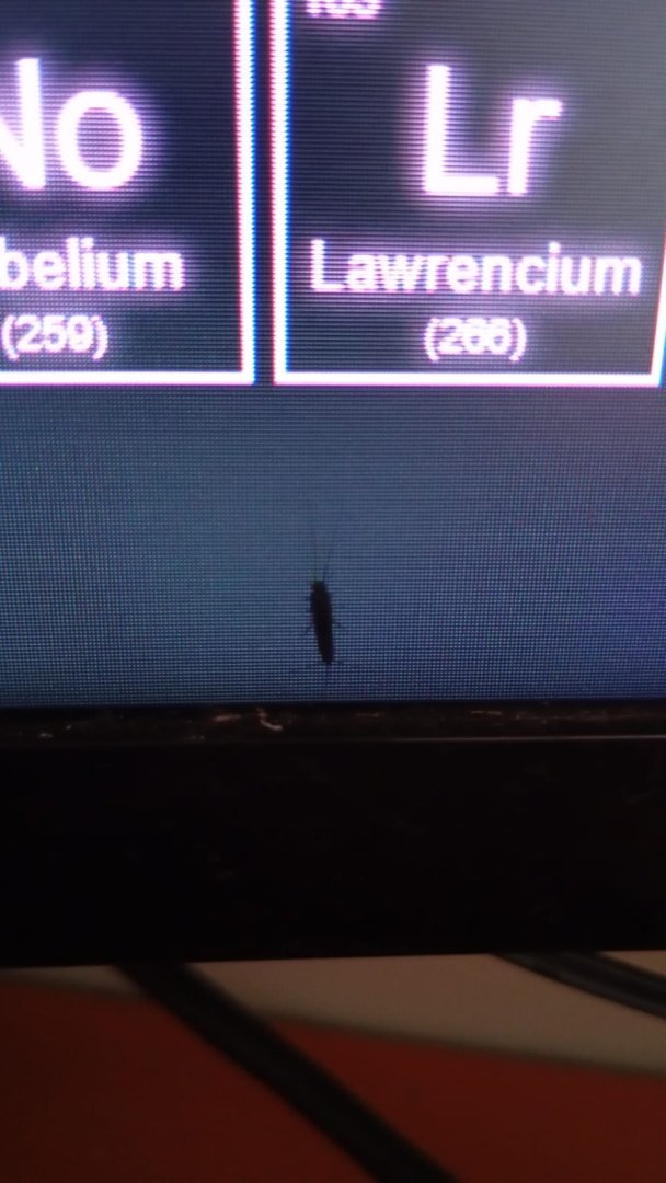 WhatsApp Görsel 2024-07-26 saat 11.20.19_973c7e86.jpg