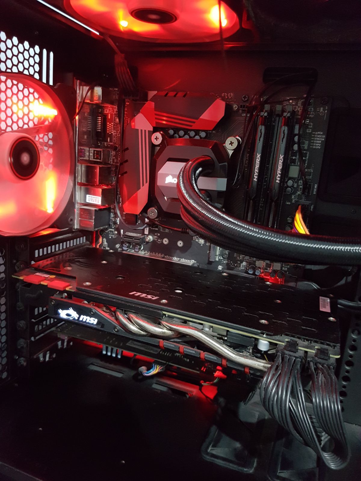 WhatsApp Image 2017-11-10 at 00.36.09.jpeg