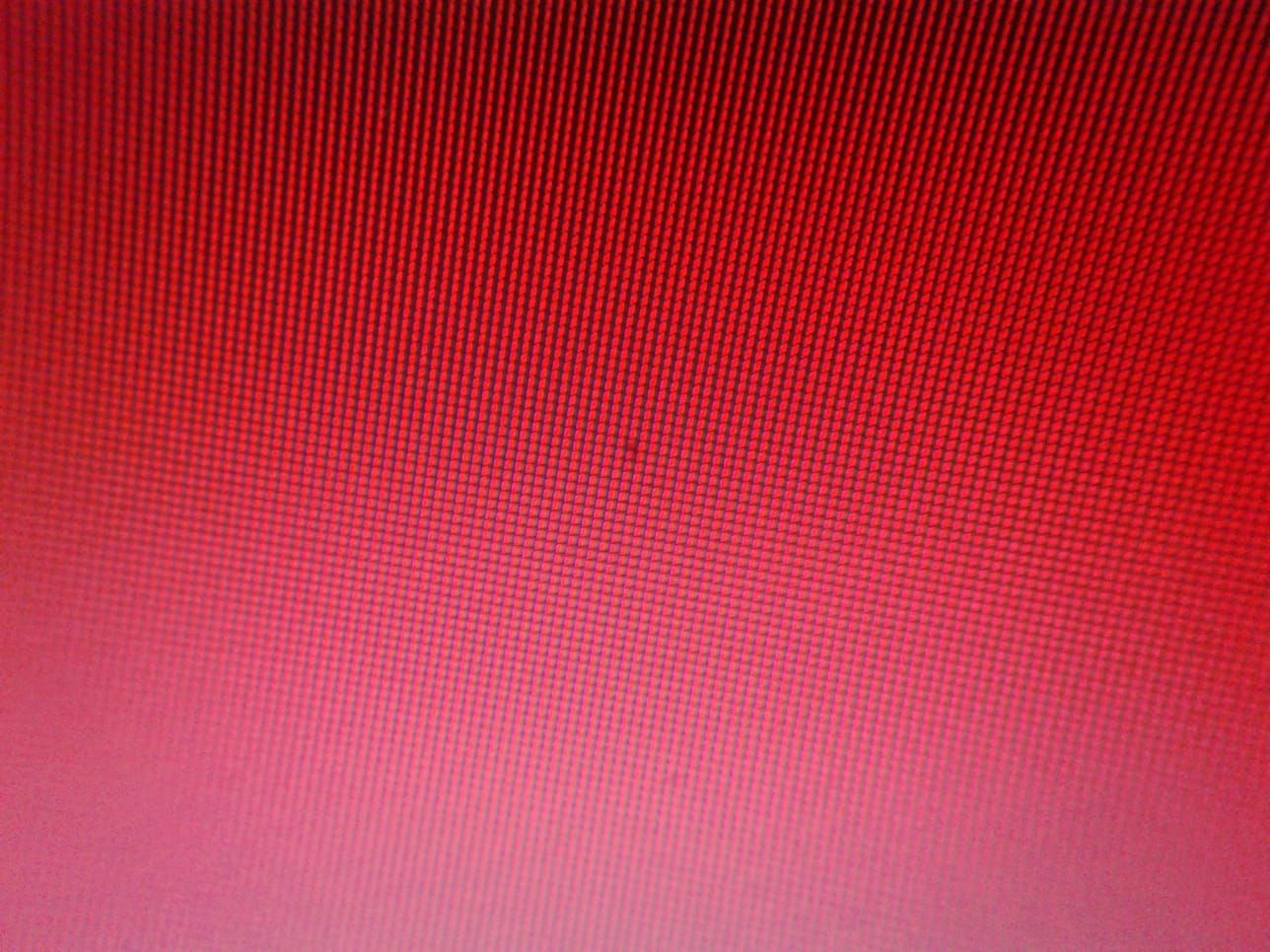 WhatsApp Image 2019-01-29 at 21.55.07.jpeg