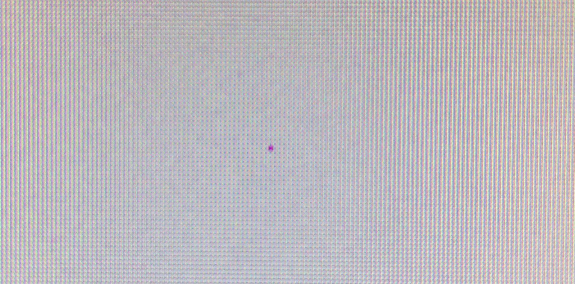 WhatsApp Image 2021-10-07 at 03.56.41.jpeg