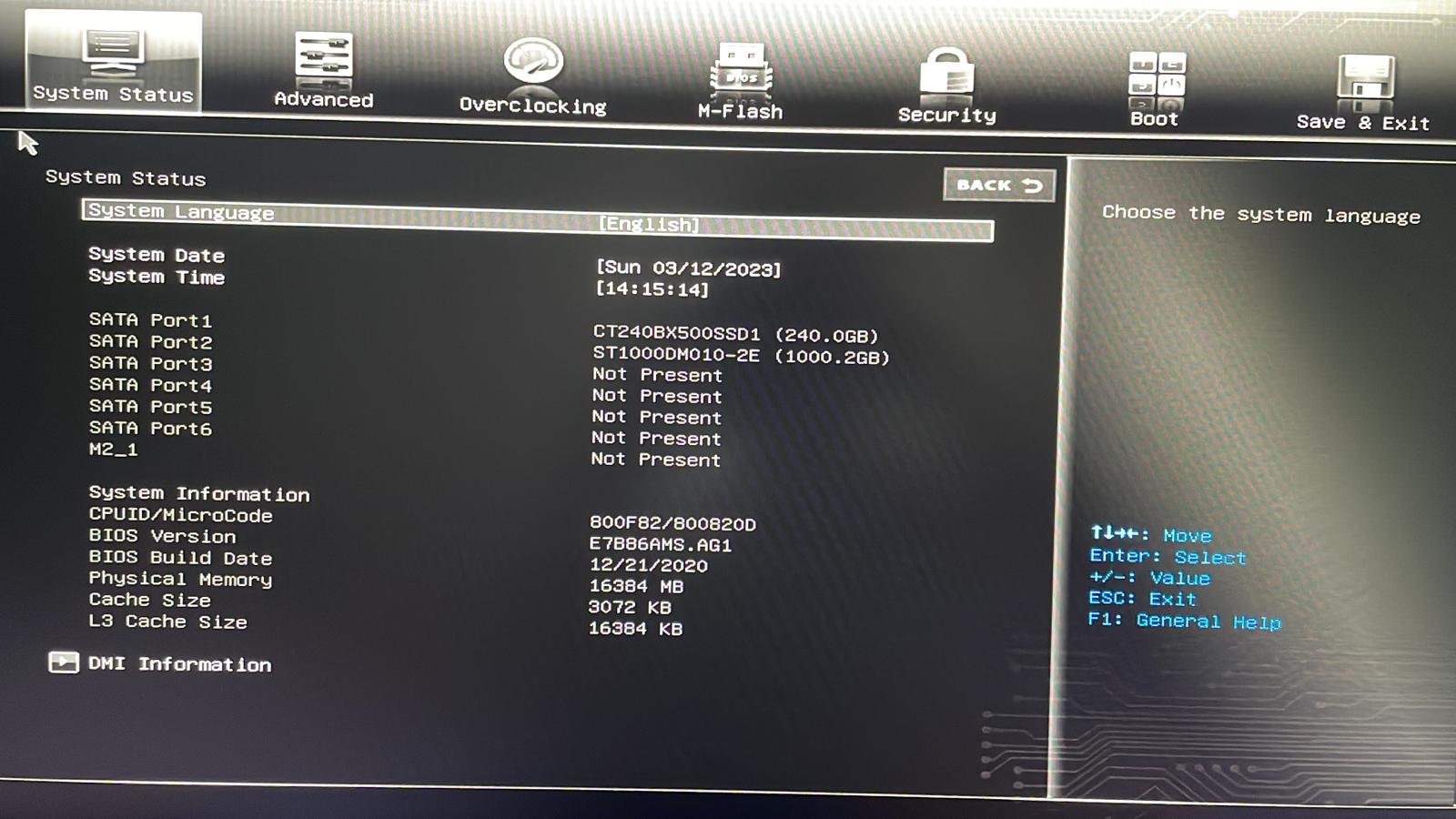 WhatsApp Image 2023-03-12 at 14.15.16.jpeg