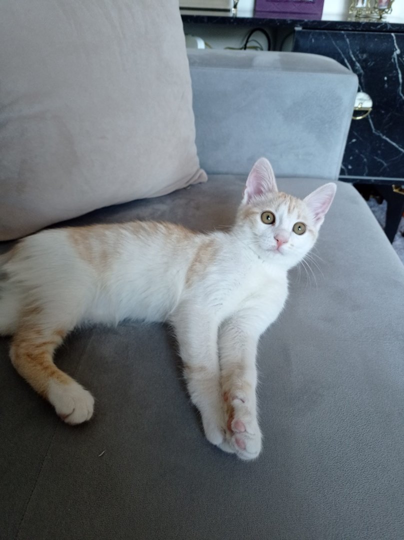 WhatsApp Image 2023-07-01 at 17.40.02.jpeg