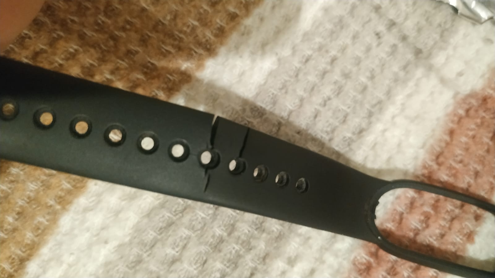 WhatsApp Image 2023-08-21 at 17.24.13.jpeg