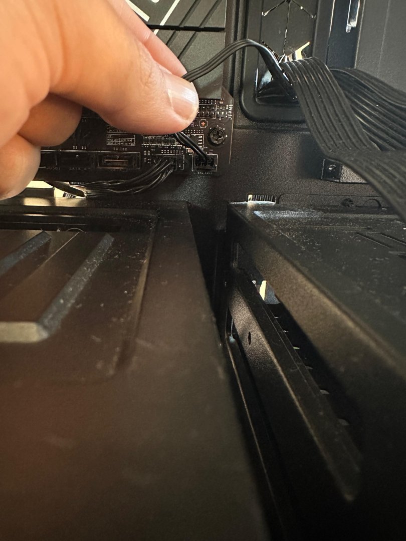 WhatsApp Image 2023-08-22 at 17.18.57.jpeg