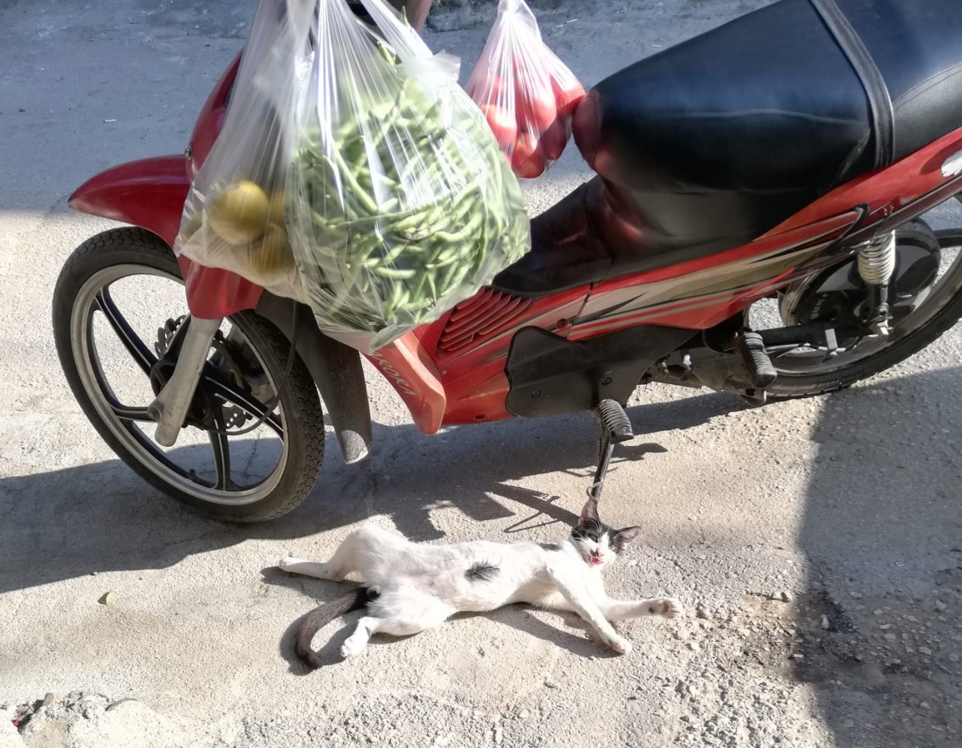 WhatsApp Image 2023-10-20 at 20.57.06.jpeg