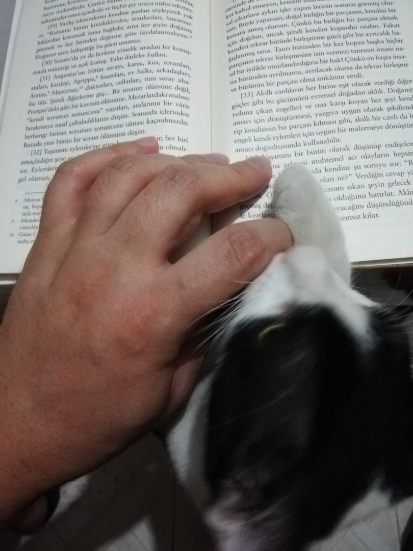 WhatsApp Image 2023-10-20 at 20.59.15.jpeg