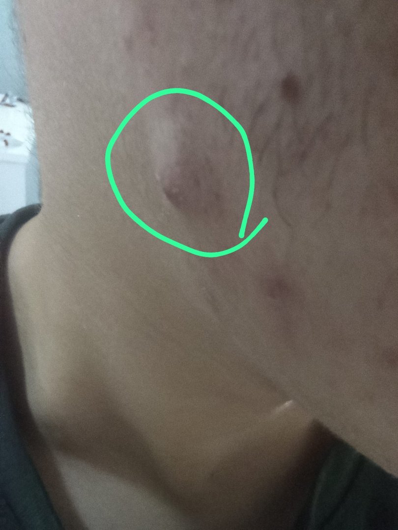 WhatsApp Image 2024-04-30 at 14.48.07.jpeg