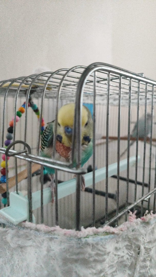 WhatsApp Image 2024-10-11 at 17.30.33.jpeg