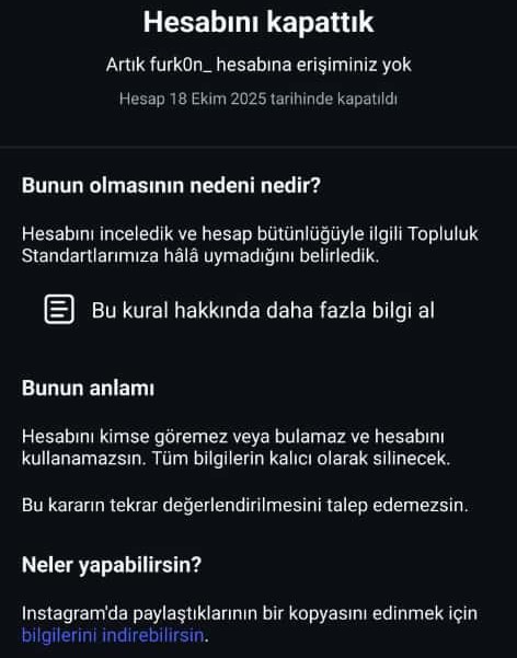 WhatsApp Image 2025-10-20 at 14.50.00.jpeg