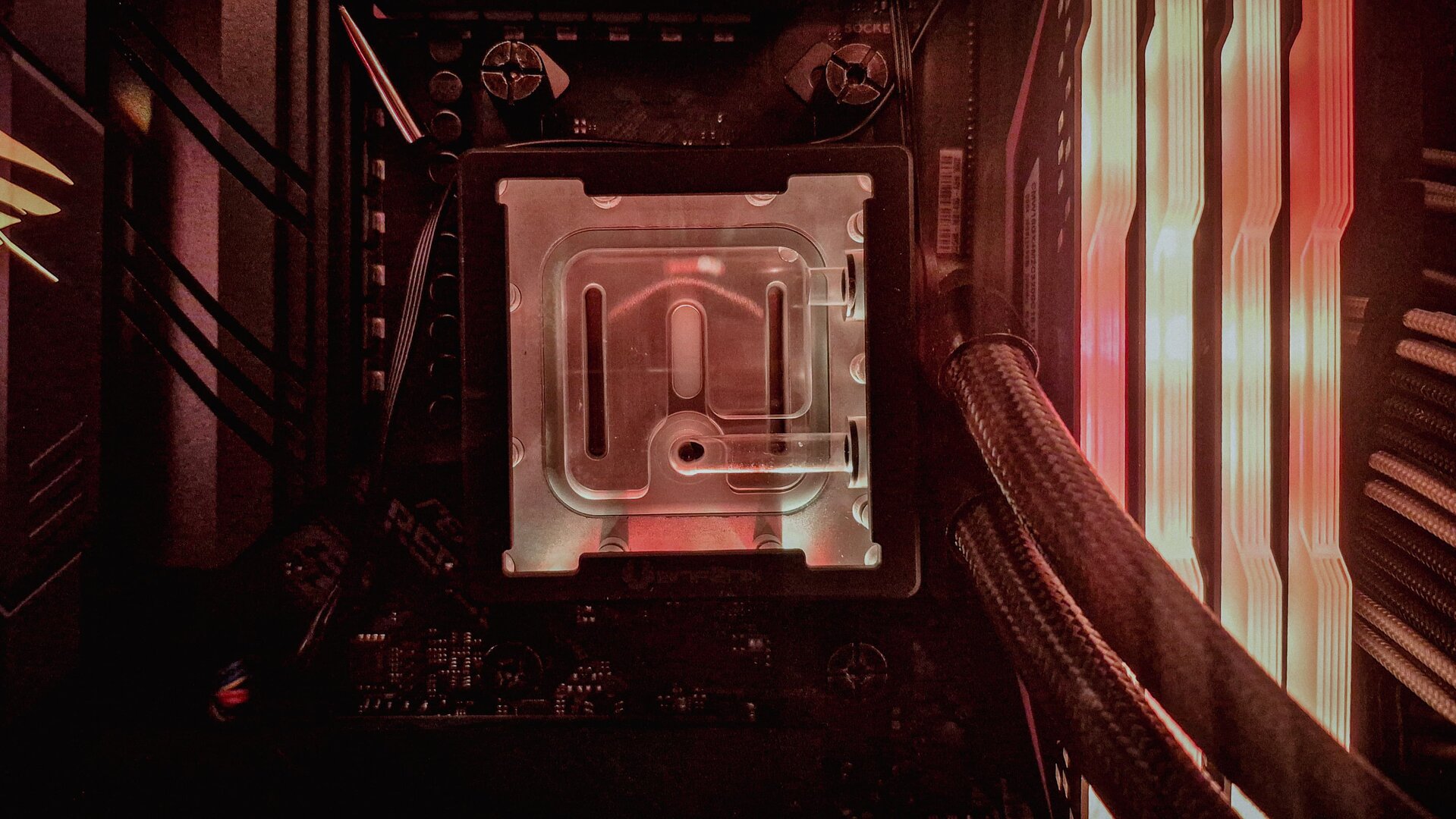 WhatsApp Image 2025-11-28 at 11.00.46.jpeg