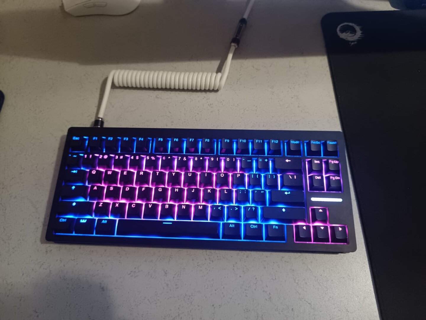 WhatsApp Image 2025-12-11 at 23.50.47.jpeg