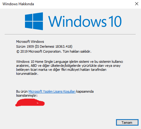 Windows 10 1909.png