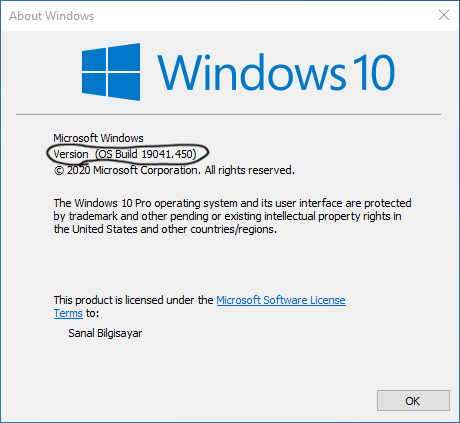 Windows 10 x64-2020-08-19-16-37-11.png