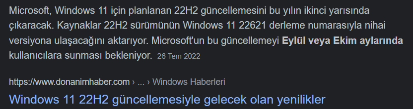 windows 11 22h2.png