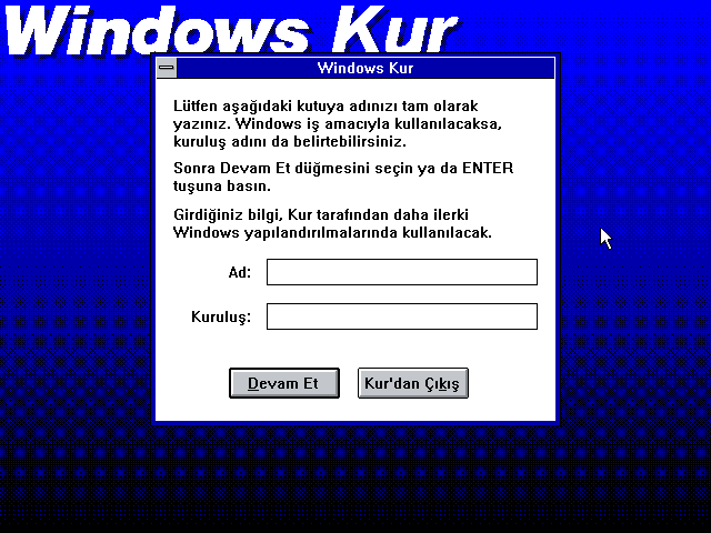 Windows 3.1-2022-07-14-20-52-23.png