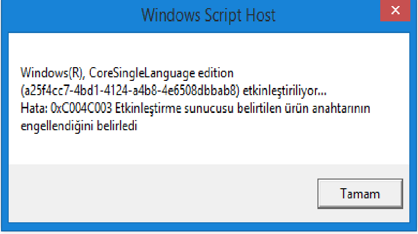 windows script host.png