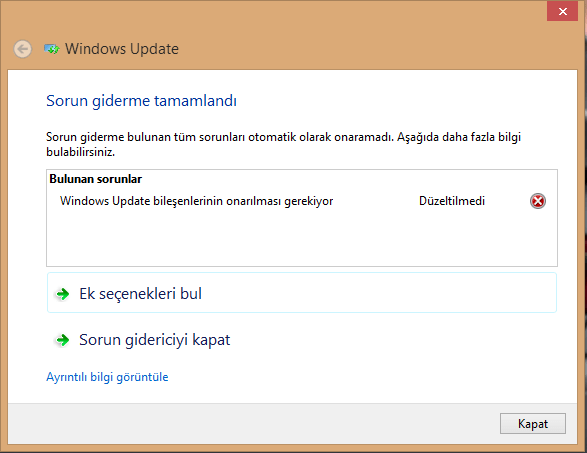 Windows Update Onarma.png