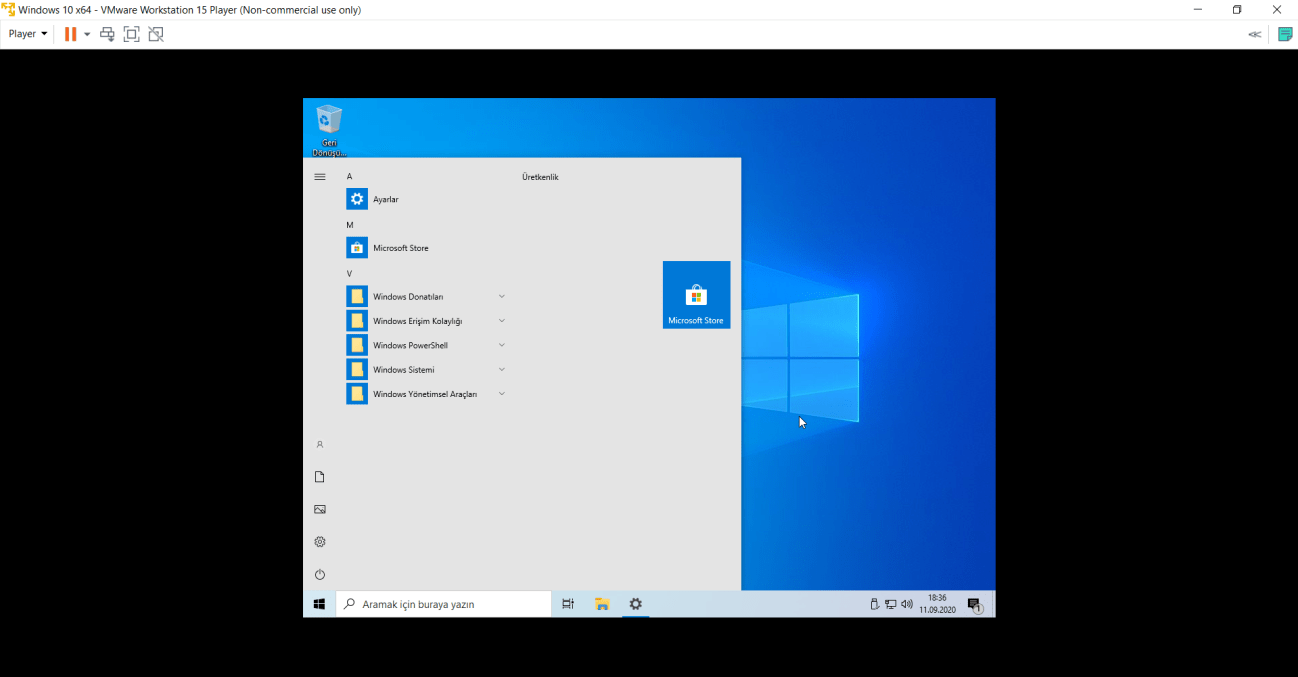 Windows_10_x64_-_VMware_Workstation_15_Player_Non-commercial_use_only_11.09.2020_18_36_38.png