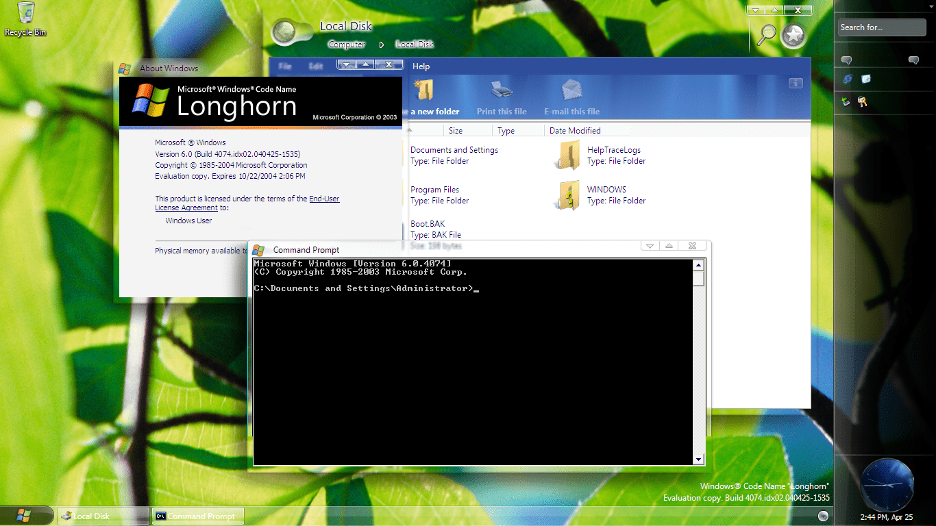Windows_Longhorn_4074_FullAero (1).png