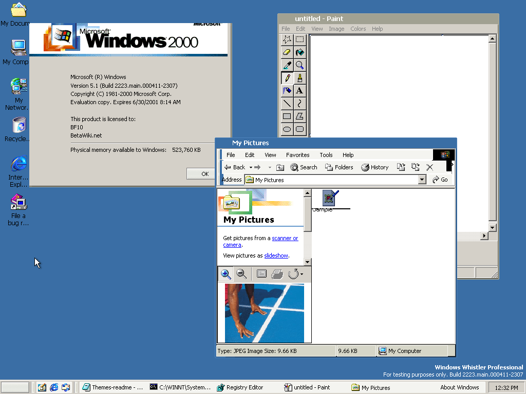 WindowsXP-5.1.2223-BusinessTheme.png