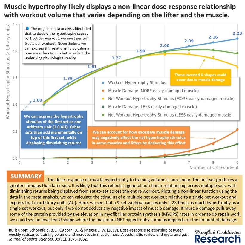 Workout Net Stimulus.jpg