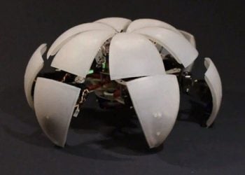 Video: Top Olan Robot