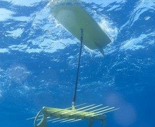 Yüzebilen Robotlar Rekor Kırdı!