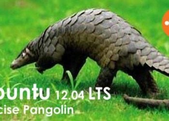 Ubuntu Gittikçe Yayılıyor