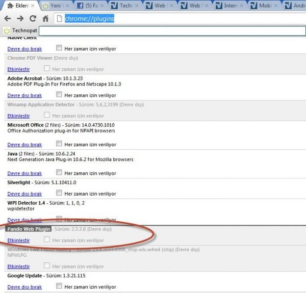 Chrome eklenti yönetimi: chrome://plugins/ Chrome eklenti yönetimi: chrome://plugins/