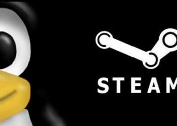 Steam Oyun Platformu çok yakın bir süre içerisinde Linux kullanıcıları için çıkacak.