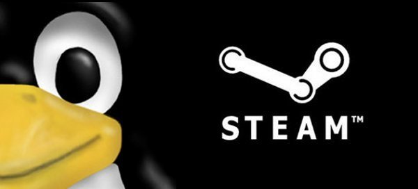 Steam Oyun Platformu çok yakın bir süre içerisinde Linux kullanıcıları için çıkacak.