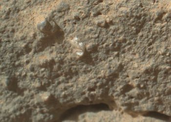 Curiosity'nin çektiği bu fotoğraftaki dikkat çeken parlak taş, forumlarda Mars Çiçeği olarak yorumlandı.