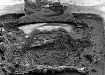 Kendini Onaran İşlemciler!