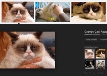 Google'da artık GIF uzantılı görselleri filtreleme yoluyla rahatlıkla bulabilirsiniz.