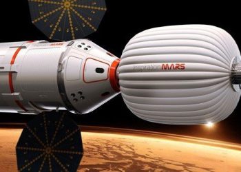 Radyasyona Karşı Dışkı!