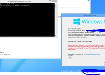 Ortaya çıkan bu görselde kernel kodunun Windows 6.3 olarak kodlandığı açıkça belli oluyor.