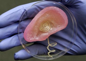 Biyonik Kulak geliştirildi. Ancak kullanıma hazır değil.