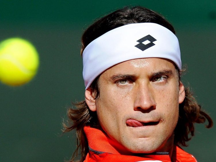 David Ferrer