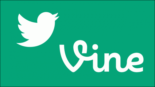 Vine