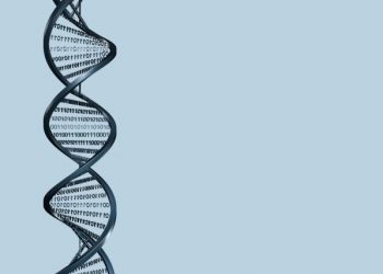 Bir İnsan Kaç Byte Alan Kaplıyor?