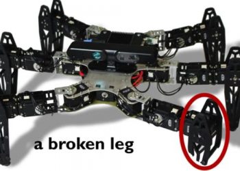 Robot Teknolojisindeki İlerleme İnsanları Şaşırtmaya Devam Ediyor